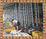 Auto Ceiling Plaster Rendering Machine 2.25Kw 4mm - 30mm Thick supplier